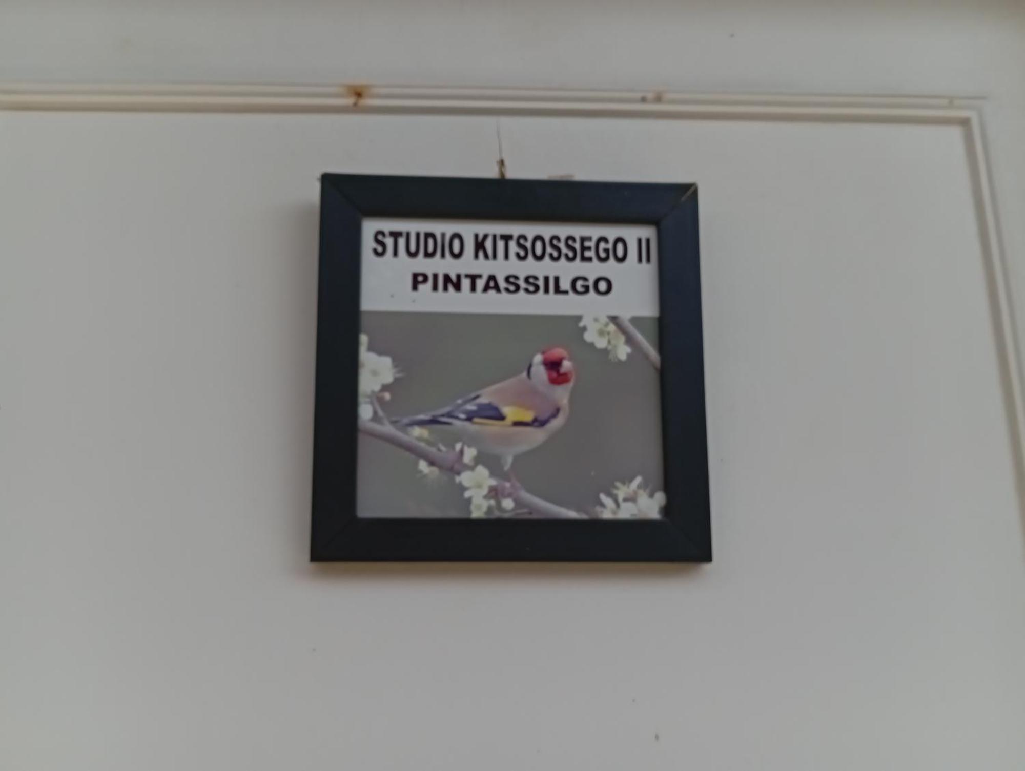 Studio Kitsossego Curitiba Ngoại thất bức ảnh